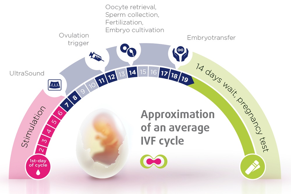 IVF monthly cycle iaso ivf center cyprus
