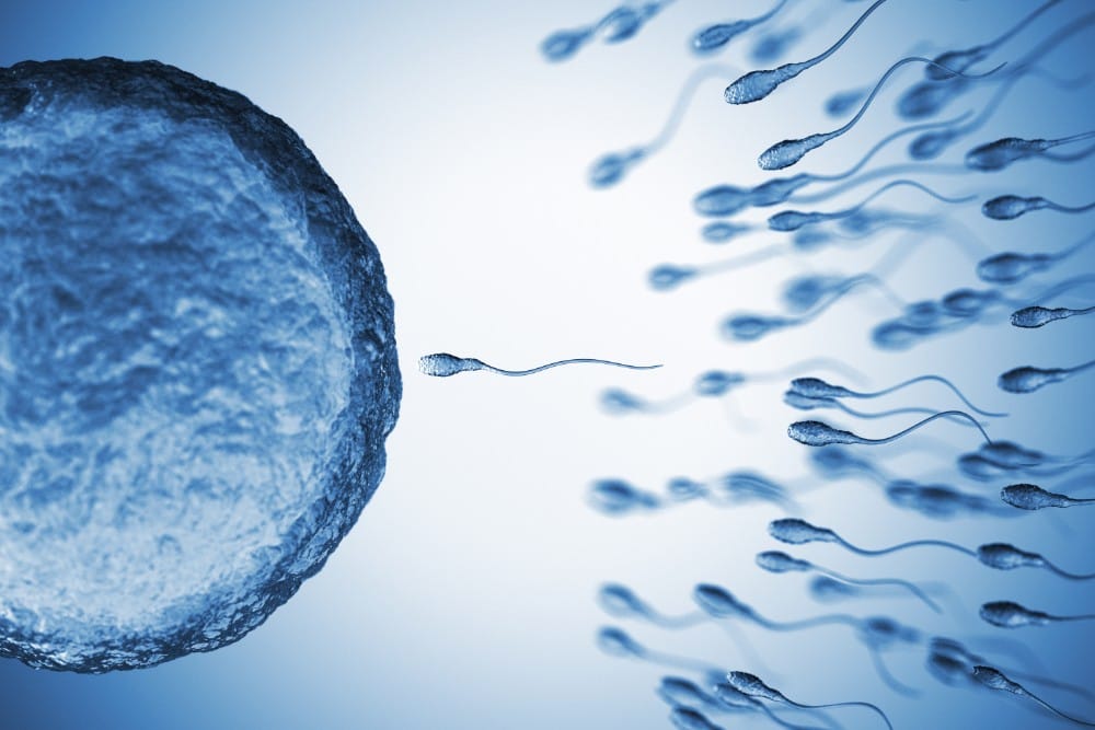 sperm iaso ivf center cyprus